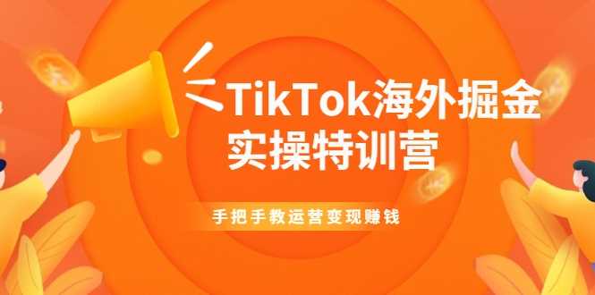 TikTok海外掘金实操特训营：手把手教运营变现赚钱_中创网