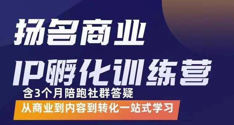 杨名商业IP孵化训练营，从商业到内容到转化一站式学 价值5980元_中创网