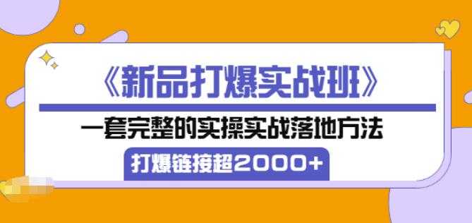 凌童《新品打爆实战班》,一套完整的实操实战落地方法，打爆链接超2000+（28节课)_中创网