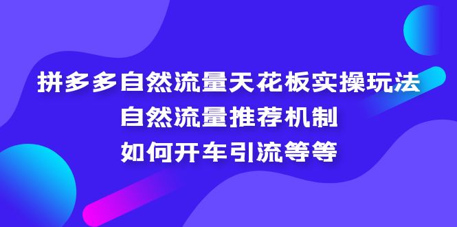 （5327期）拼多多自然流量天花板实操玩法：自然流量推荐机制，如何开车引流等等_中创网