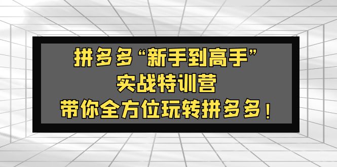 （5173期）拼多多“新手到高手”实战特训营：带你全方位玩转拼多多！_中创网