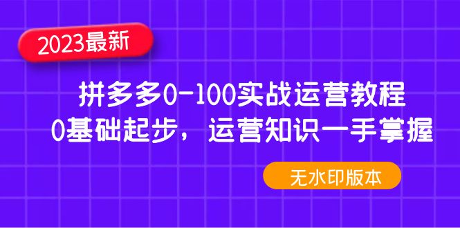 （4835期）2023拼多多0-100实战运营教程，0基础起步，运营知识一手掌握（无水印）_中创网