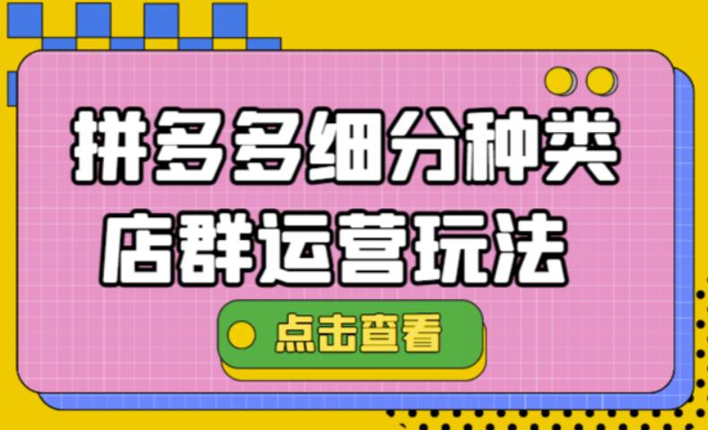 （4373期）拼多多细分种类店群运营玩法3.0，11月最新玩法，小白也可以操作_中创网