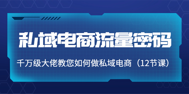 （3977期）私域电商流量密码：千万级大佬教您如何做私域电商（12节课）_中创网