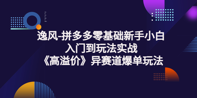 （3435期）逸风-拼多多零基础新手小白入门到玩法实战《高溢价》异赛道爆单玩法实操课_中创网