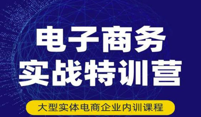 （3101期）电子商务实战特训营，全方位带你入门电商，308种方式玩转电商_中创网