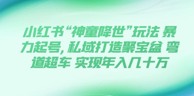 （7689期）小红书“神童降世”玩法 暴力起号,私域打造聚宝盆 弯道超车 实现年入几十万_中创网