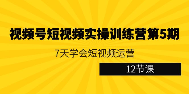 （9068期）视频号短视频实操训练营第5期：7天学会短视频运营（12节课）_中创网