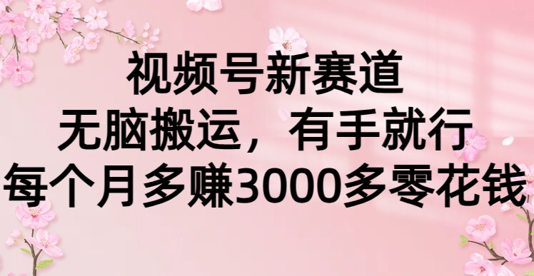 （9339期）视频号新赛道，无脑搬运，有手就行，每个月多赚3000多零花钱_中创网