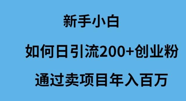 （9744期）新手小白如何日引流200+创业粉通过卖项目年入百万_中创网