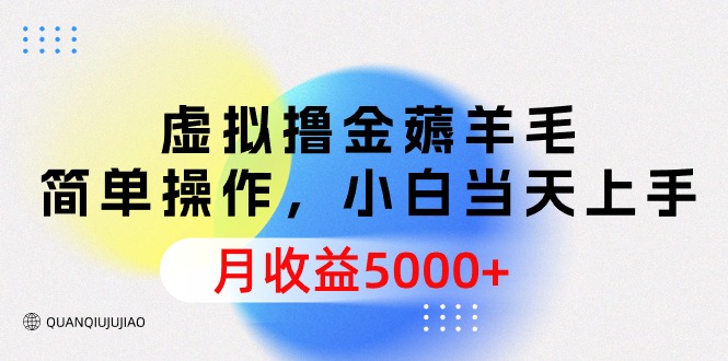 （9946期）虚拟撸金薅羊毛，简单操作，小白当天上手，月收益5000+_中创网