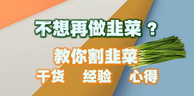 （10732期）2024不再做韭菜！教你怎么割韭菜，干货经验心得分享，创业少走弯路_中创网