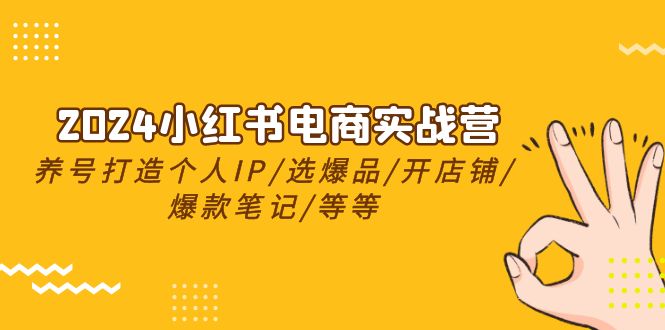 （10469期）2024小红书电商实战营，养号打造IP/选爆品/开店铺/爆款笔记/等等（24节）_中创网