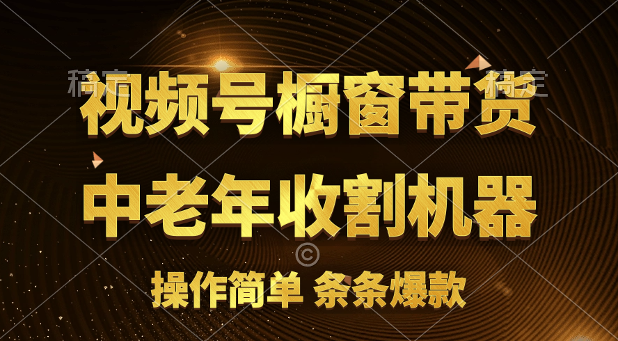 （11115期）[你的孩子成功取得高位]视频号最火爆赛道，橱窗带货，流量分成计划，条条爆款_中创网