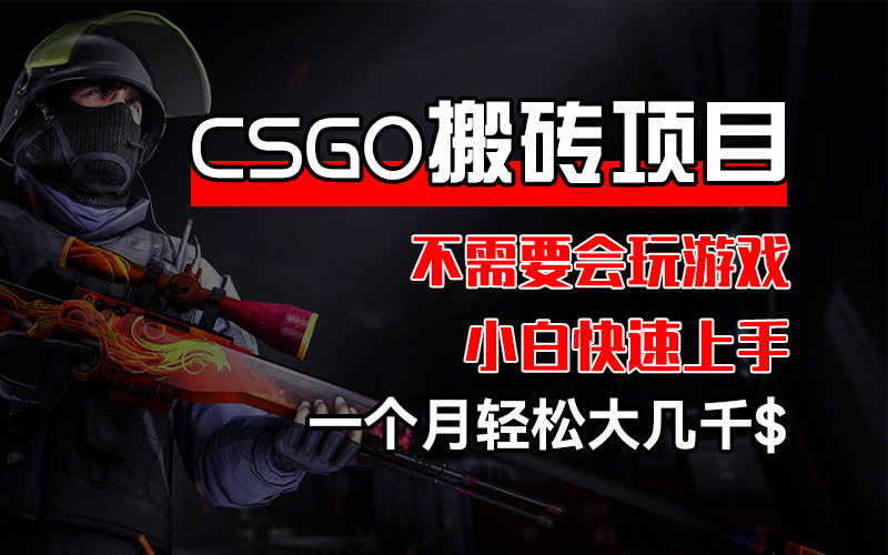 （12332期）CSGO 装备搬砖项目，操作简单，不需要会玩游戏，小白也能快速上手，一个月赚个大几千还是很轻松_中创网