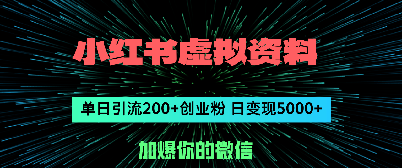 （12164期）小红书虚拟资料日引流200+创业粉，单日变现5000+_中创网