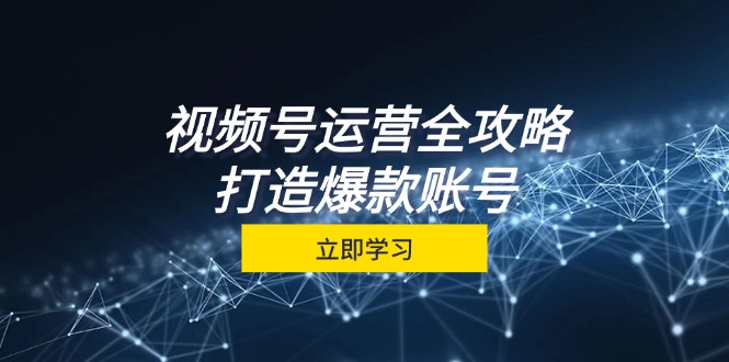 （12912期）视频号运营全攻略，从定位到成交一站式学习，视频号核心秘诀，打造爆款账号_中创网