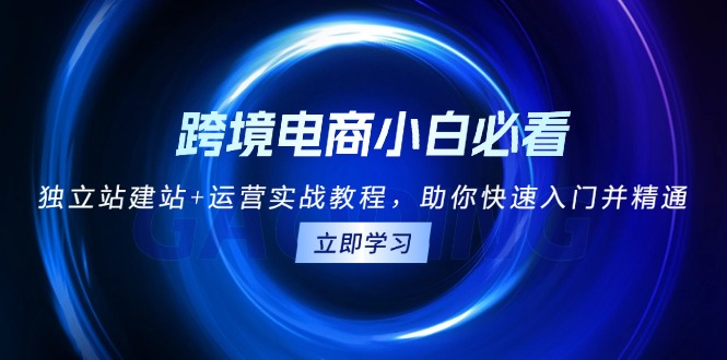 （13503期）跨境电商小白必看！独立站建站+运营实战教程，助你快速入门并精通_中创网