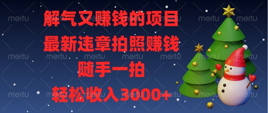 （13804期）解气又赚钱的项目，最新违章拍照赚钱，随手一拍，轻松收入3000+_中创网