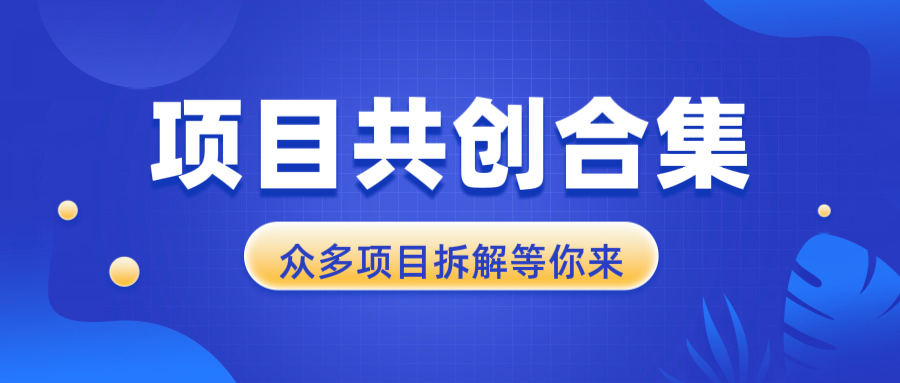 （13778期）项目共创合集，从0-1全过程拆解，让你迅速找到适合自已的项目_中创网